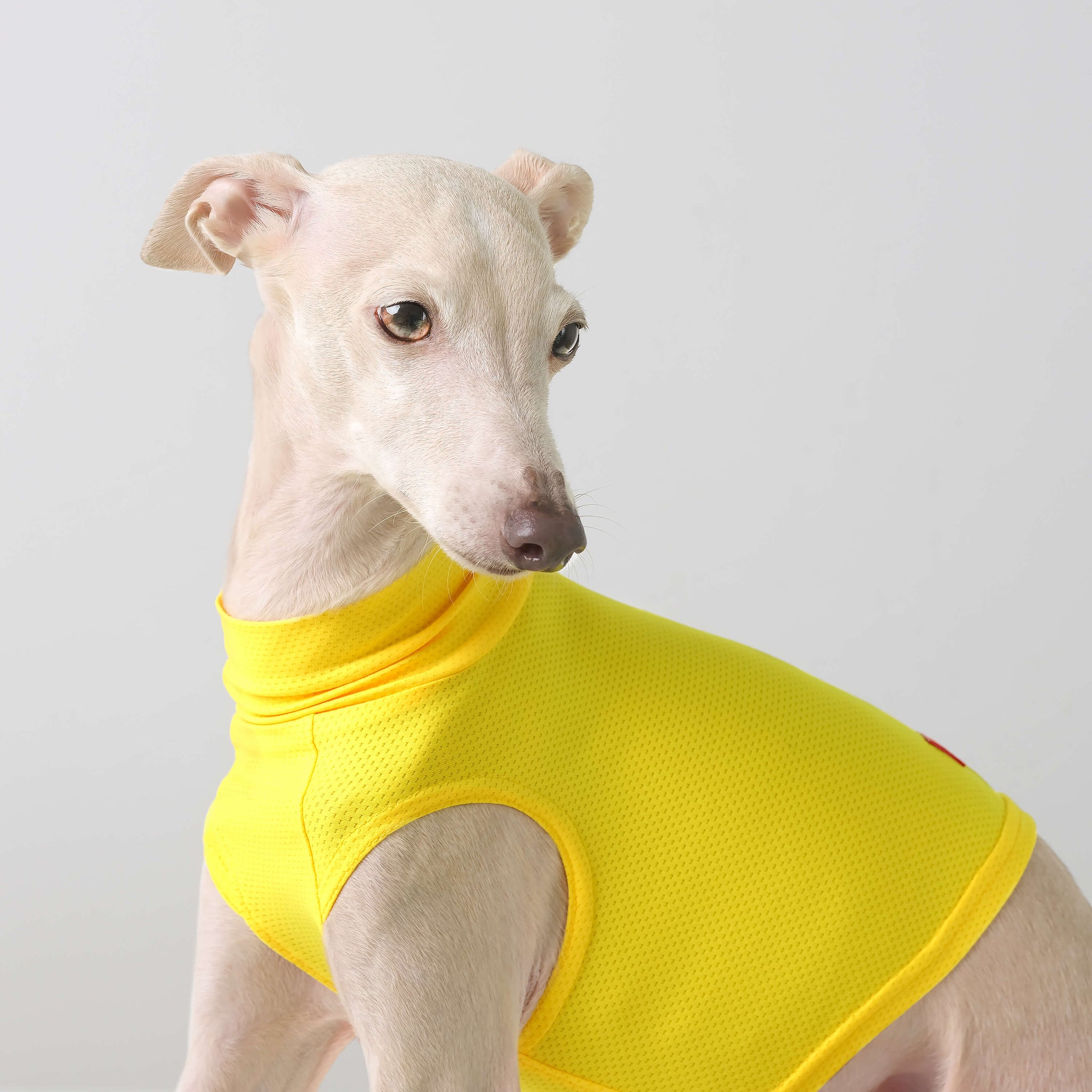 Stop Freezing! The One Layer Trick Everyone'S Missing - 20i6umy