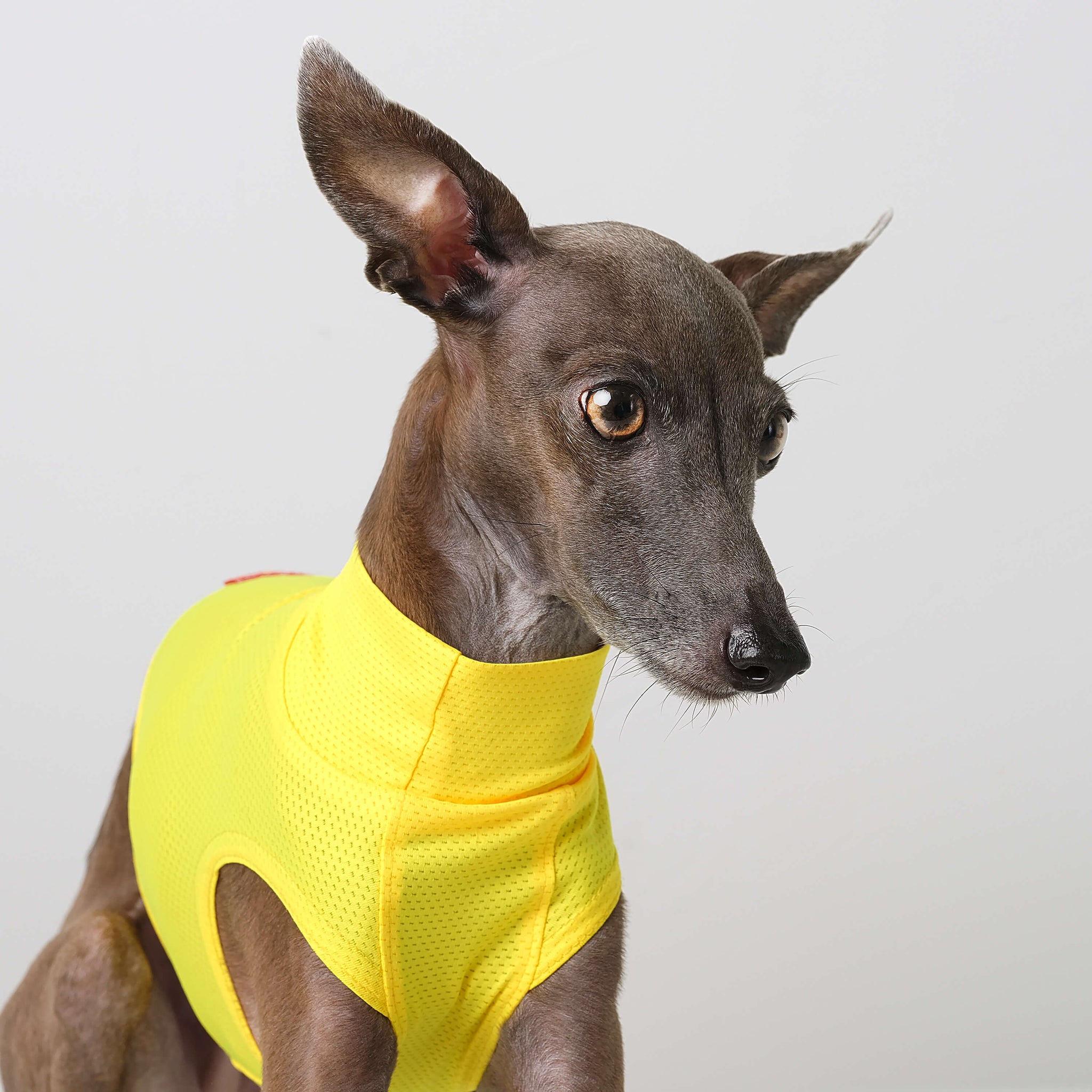 Stop Freezing! The One Layer Trick Everyone'S Missing - yubqx0f